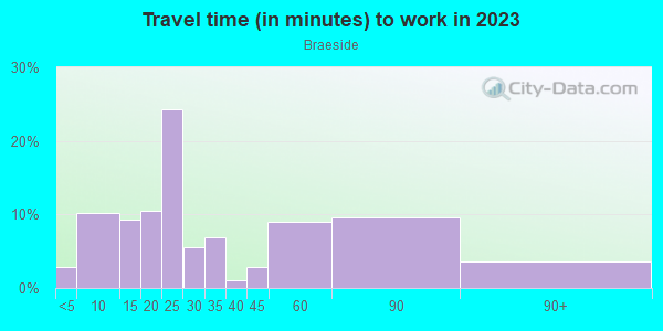 Commute time to work in Braeside in Highland Park neighborhood in IL
