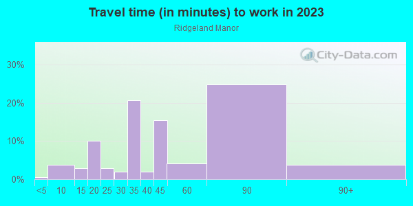 Commute time to work in Ridgeland Manor in Matteson neighborhood in IL