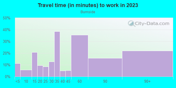 Commute time to work in Burnside in Chicago neighborhood in IL