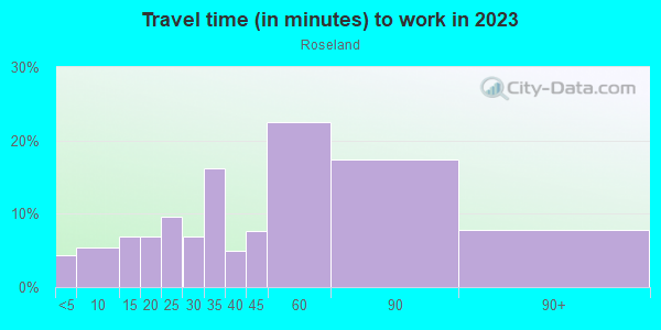 Commute time to work in Roseland in Chicago neighborhood in IL