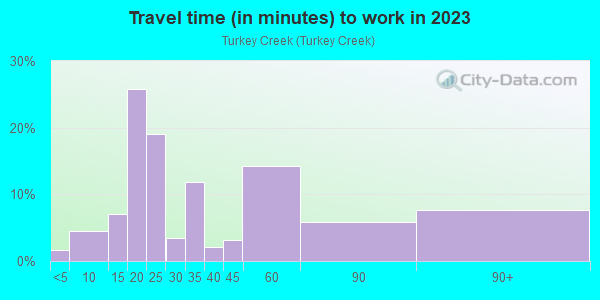 Commute time to work in Turkey Creek in Merrillville neighborhood in IN