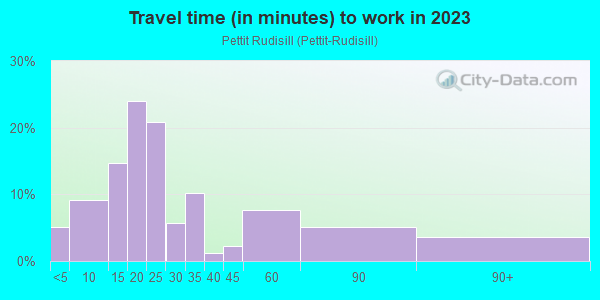 Commute time to work in Pettit Rudisill in Fort Wayne neighborhood in IN