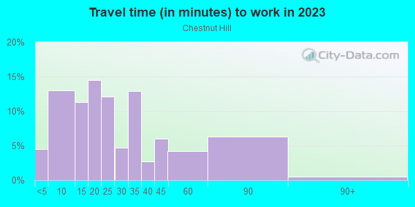 Commute time to work in Chestnut Hill in Chestnut Hill neighborhood in MA