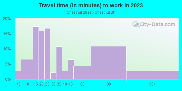 Commute time to work in Chestnut Street in Salem neighborhood in MA
