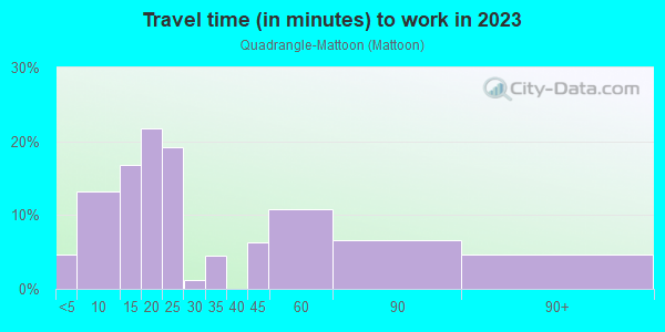 Commute time to work in Quadrangle-Mattoon in Springfield neighborhood in MA