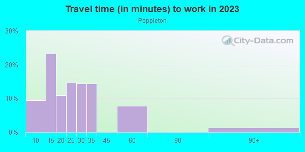Commute time to work in Poppleton in Baltimore neighborhood in MD