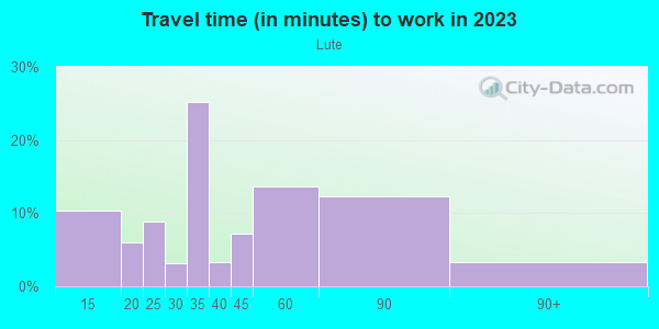 Commute time to work in Lute in Silver Spring neighborhood in MD