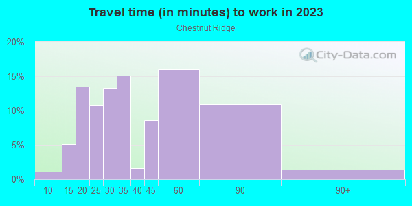 Commute time to work in Chestnut Ridge in Silver Spring neighborhood in MD