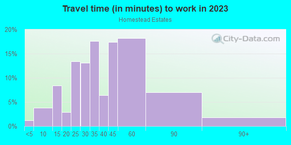 Commute time to work in Homestead Estates in Silver Spring neighborhood in MD