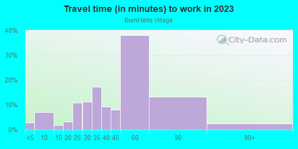 Commute time to work in Burnt Mills Village in Silver Spring neighborhood in MD