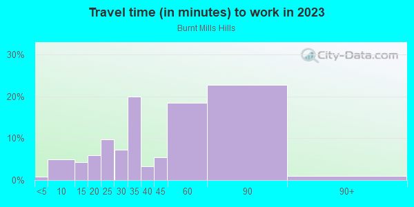 Commute time to work in Burnt Mills Hills in Silver Spring neighborhood in MD