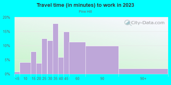 Commute time to work in Pine Hill in Silver Spring neighborhood in MD