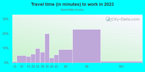 Commute time to work in Burnt Mills Knolls in Silver Spring neighborhood in MD