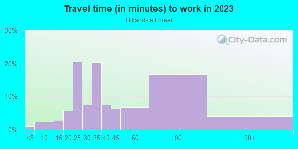 Commute time to work in Hillandale Forest in Silver Spring neighborhood in MD