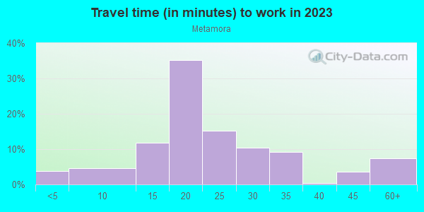 Commute time to work in Metamora in Franklin neighborhood in MI