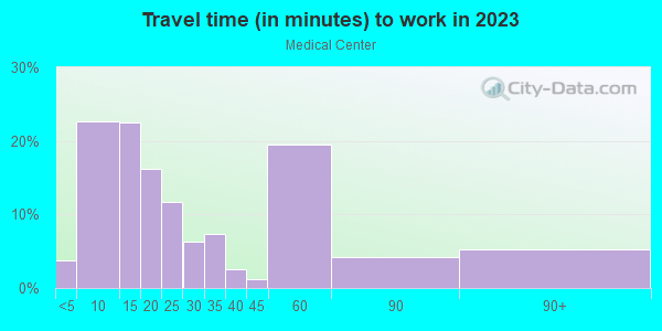 Commute time to work in Medical Center in Detroit neighborhood in MI