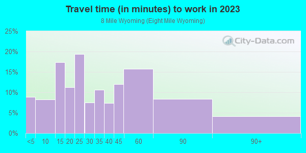 Commute time to work in 8 Mile Wyoming in Detroit neighborhood in MI