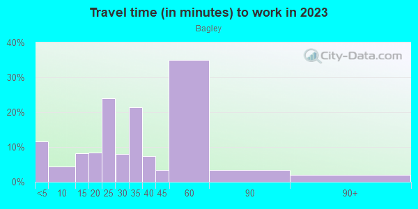 Commute time to work in Bagley in Detroit neighborhood in MI