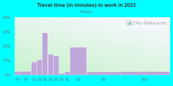 Commute time to work in Pulaski in Detroit neighborhood in MI
