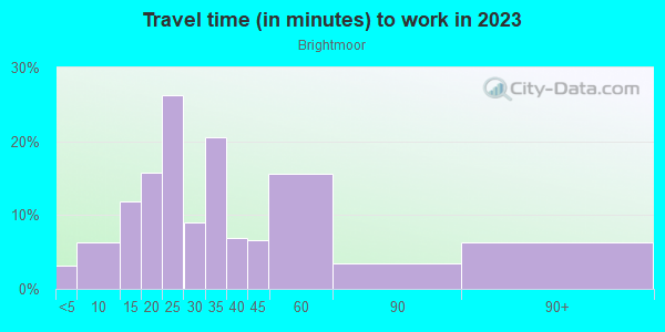 Commute time to work in Brightmoor in Detroit neighborhood in MI