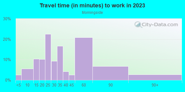 Commute time to work in Morningside in Detroit neighborhood in MI