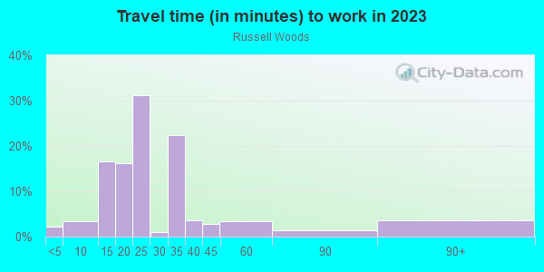 Commute time to work in Russell Woods in Detroit neighborhood in MI