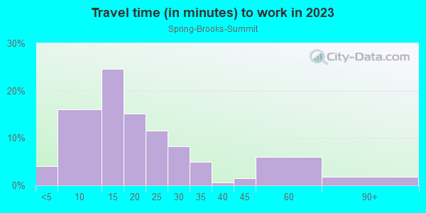 Commute time to work in Spring-Brooks-Summit in Ann Arbor neighborhood in MI