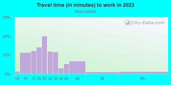 Commute time to work in Mesa Grande in Mesa neighborhood in AZ