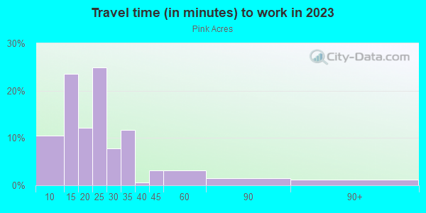 Commute time to work in Pink Acres in Cary neighborhood in NC