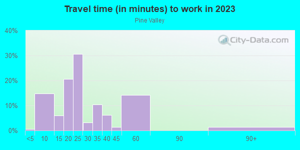 Commute time to work in Pine Valley in Cary neighborhood in NC