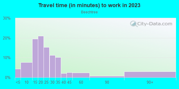Commute time to work in Beechtree in Cary neighborhood in NC