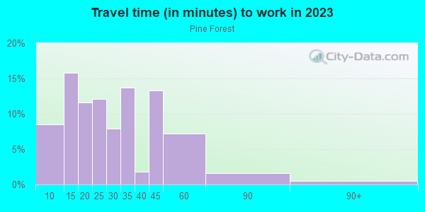 Commute time to work in Pine Forest in Monroe neighborhood in NC