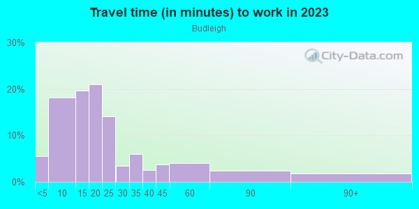 Commute time to work in Budleigh in Raleigh neighborhood in NC