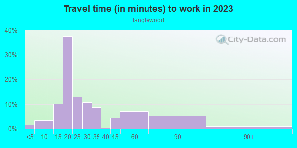 Commute time to work in Tanglewood in Cary neighborhood in NC