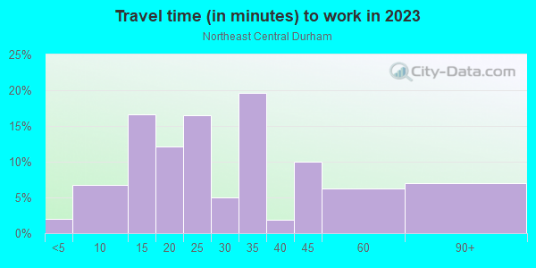 Commute time to work in Northeast Central Durham in Durham neighborhood in NC