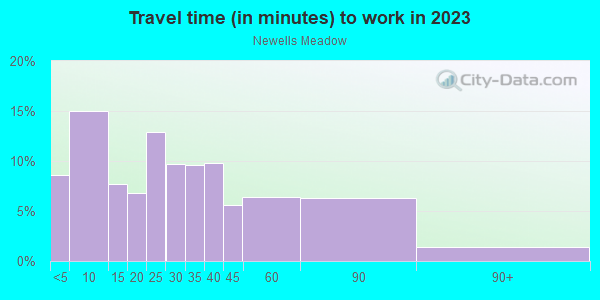 Commute time to work in Newells Meadow in Derry neighborhood in NH