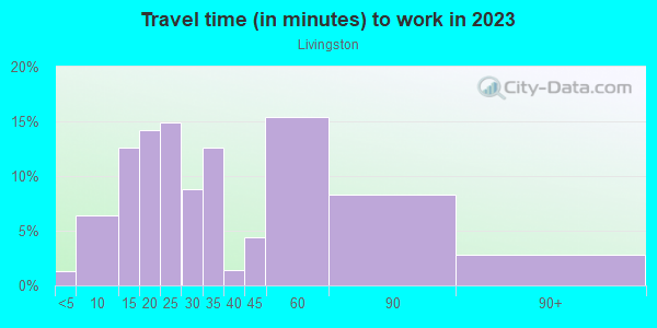 Commute time to work in Livingston in Union neighborhood in NJ