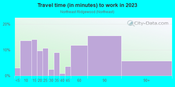 Commute time to work in Northeast Ridgewood in Ridgewood neighborhood in NJ
