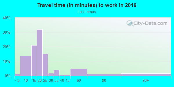 Commute time to work in Las Lomas in Santa Fe neighborhood in NM