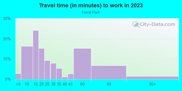 Commute time to work in Floral Park in Johnson City neighborhood in NY