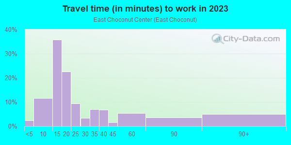 Commute time to work in East Choconut Center in Johnson City neighborhood in NY
