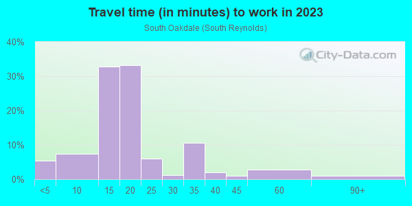 Commute time to work in South Oakdale in Johnson City neighborhood in NY