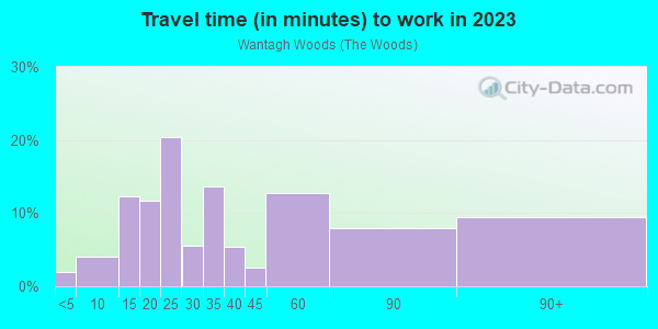 Commute time to work in Wantagh Woods in Wantagh neighborhood in NY