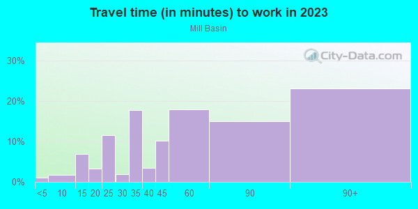 Commute time to work in Mill Basin in Brooklyn neighborhood in NY
