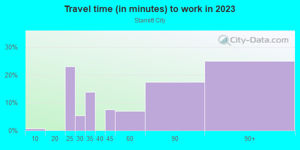 Commute time to work in Starrett City in Brooklyn neighborhood in NY