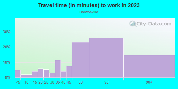 Commute time to work in Brownsville in Brooklyn neighborhood in NY