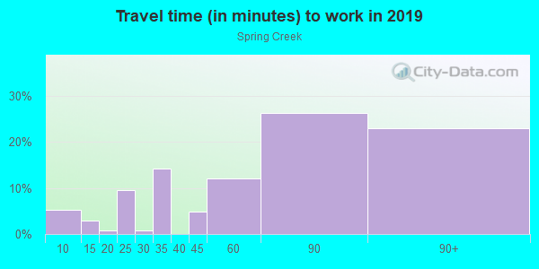 Commute time to work in Spring Creek in Brooklyn neighborhood in NY