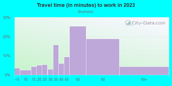 Commute time to work in Bushwick in Brooklyn neighborhood in NY