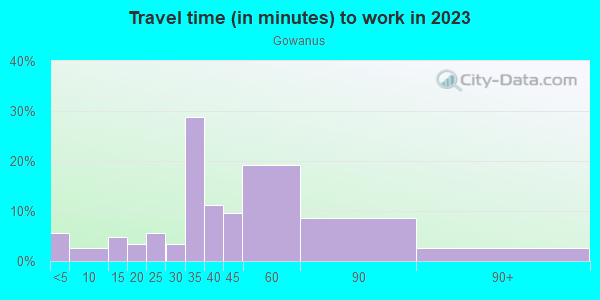 Commute time to work in Gowanus in Brooklyn neighborhood in NY
