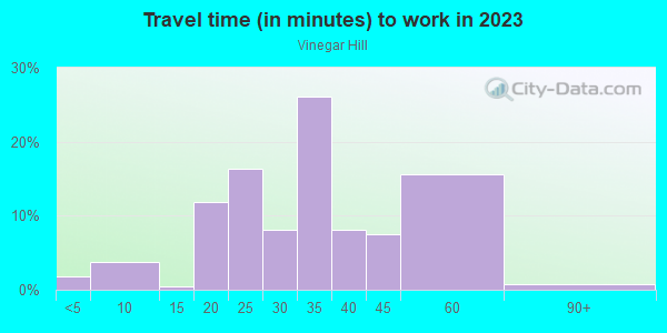 Commute time to work in Vinegar Hill in Brooklyn neighborhood in NY
